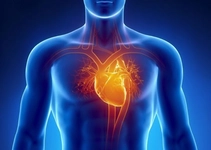 Kalp Büyümesi Belirtileri ve Tedavisi Kalp Büyümesi Belirtileri ve Tedavisi